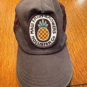 Hollister Co. Brown Trucker Hat with Pineapple Patch, Y2K